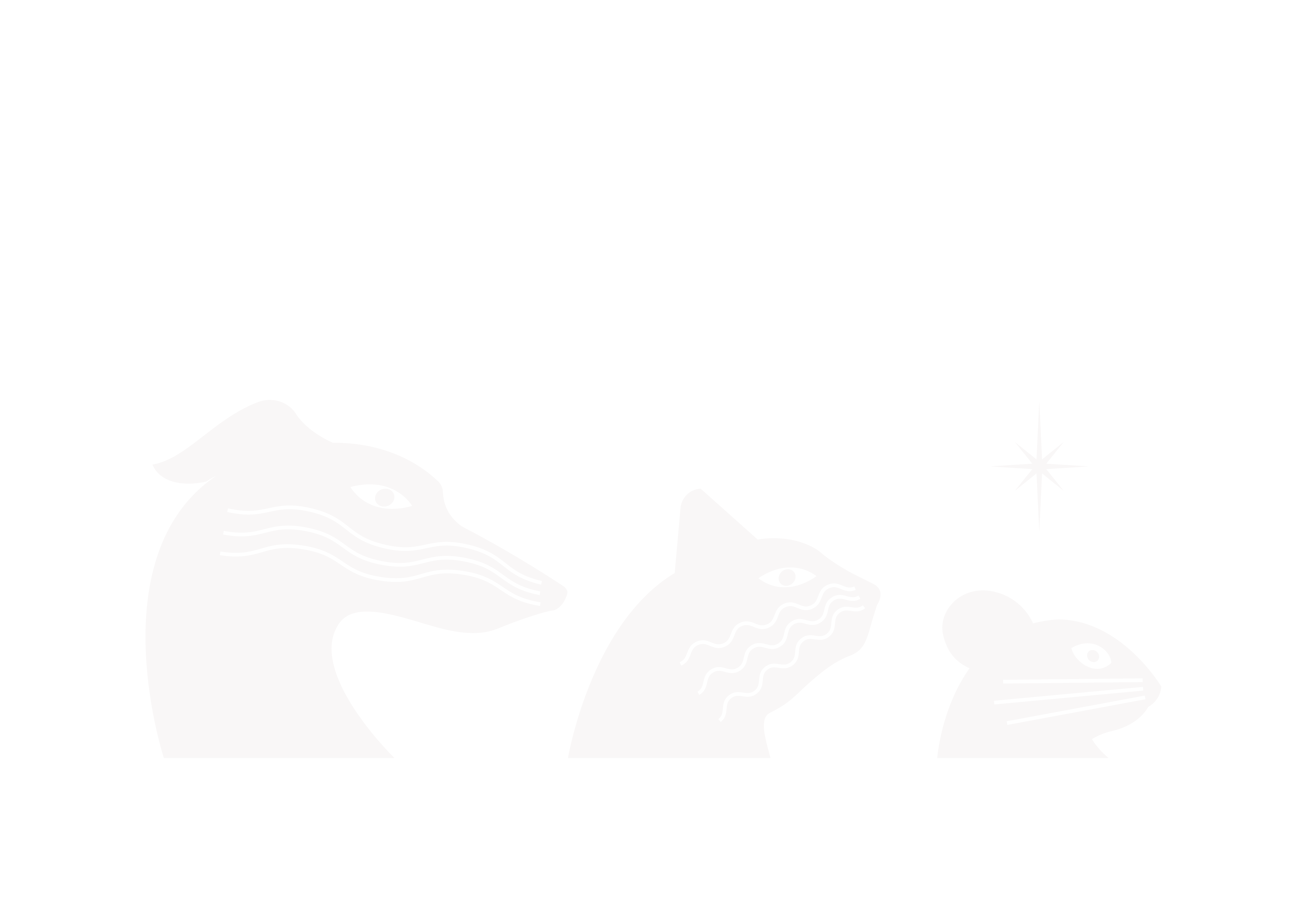 LAP CAT CAFE 徠寵貓咪咖啡｜品種貓媒合｜住宿｜美容